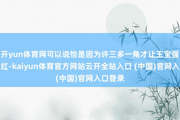 开yun体育网可以说恰是因为许三多一角才让王宝强能够走红-kaiyun体育官方网站云开全站入口 (中国)官网入口登录