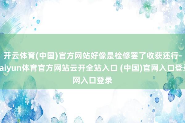 开云体育(中国)官方网站好像是检修罢了收获还行-kaiyun体育官方网站云开全站入口 (中国)官网入口登录