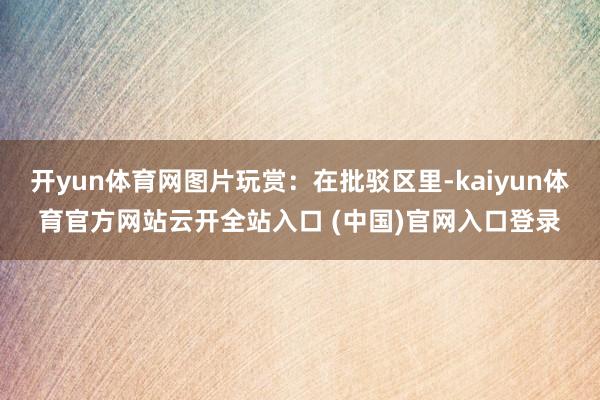 开yun体育网图片玩赏：在批驳区里-kaiyun体育官方网站云开全站入口 (中国)官网入口登录