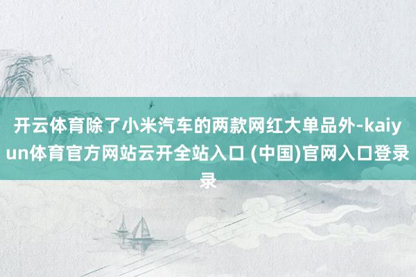 开云体育除了小米汽车的两款网红大单品外-kaiyun体育官方网站云开全站入口 (中国)官网入口登录