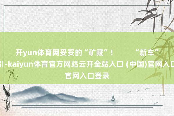 开yun体育网妥妥的“矿藏”！        “新车”的吸引-kaiyun体育官方网站云开全站入口 (中国)官网入口登录