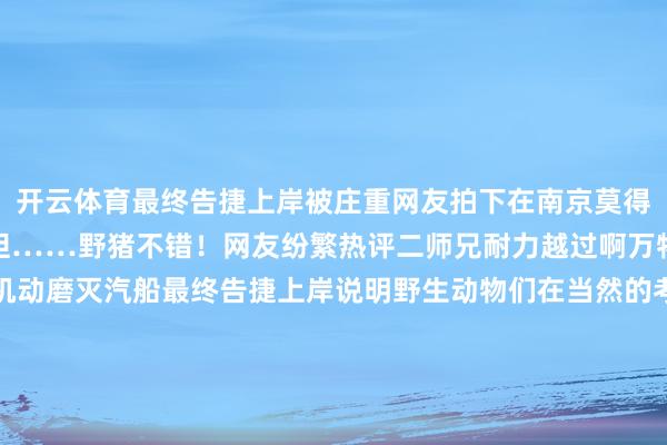 开云体育最终告捷上岸被庄重网友拍下在南京莫得一只鸭子不错游过长江但……野猪不错！网友纷繁热评二师兄耐力越过啊万物皆有灵泳姿丝滑还能机动磨灭汽船最终告捷上岸说明野生动物们在当然的考验下领有令东谈主欷歔的灵巧问题来了野猪为什么能游水？况兼还游挺好？开端：大皖新闻概括南京播送电视台南京新闻、新民周刊、红山丛林动物园、南京发布-kaiyun体育官方网站云开全站入口 (中国)官网入口登录