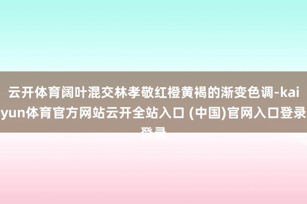 云开体育阔叶混交林孝敬红橙黄褐的渐变色调-kaiyun体育官方网站云开全站入口 (中国)官网入口登录