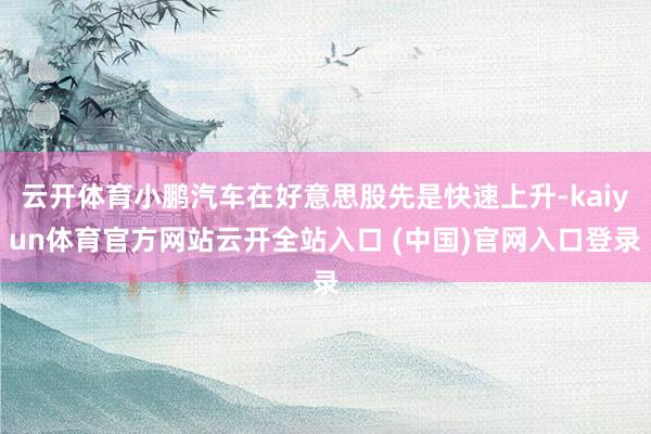 云开体育小鹏汽车在好意思股先是快速上升-kaiyun体育官方网站云开全站入口 (中国)官网入口登录