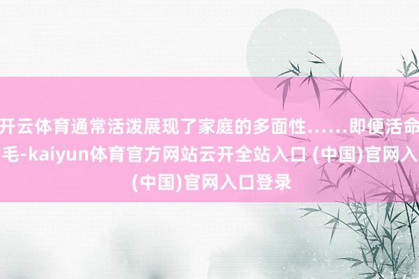 开云体育通常活泼展现了家庭的多面性……即便活命一地鸡毛-kaiyun体育官方网站云开全站入口 (中国)官网入口登录