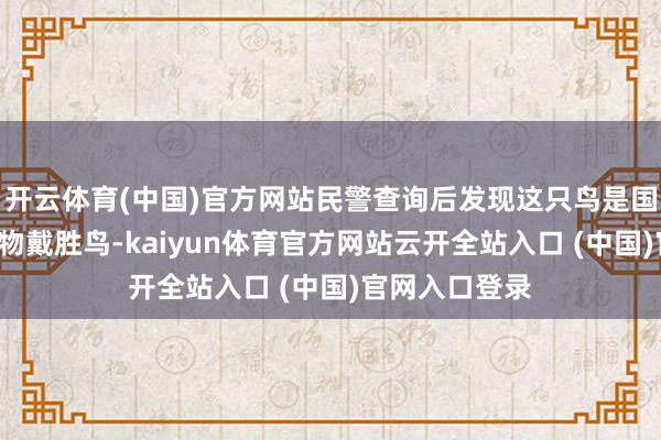 开云体育(中国)官方网站民警查询后发现这只鸟是国度“三有”动物戴胜鸟-kaiyun体育官方网站云开全站入口 (中国)官网入口登录