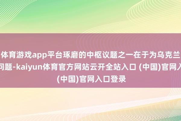 体育游戏app平台琢磨的中枢议题之一在于为乌克兰融资的问题-kaiyun体育官方网站云开全站入口 (中国)官网入口登录