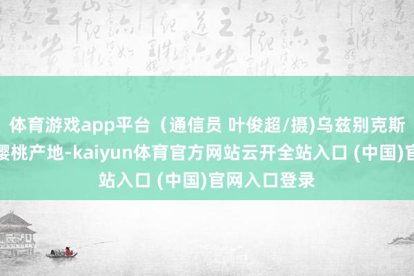 体育游戏app平台(通信员 叶俊超/摄)乌兹别克斯坦是闻明的樱桃产地-kaiyun体育官方网站云开全站入口 (中国)官网入口登录
