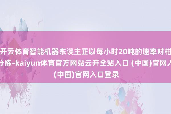 开云体育智能机器东谈主正以每小时20吨的速率对柑橘进行分拣-kaiyun体育官方网站云开全站入口 (中国)官网入口登录