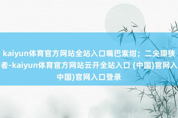 kaiyun体育官方网站全站入口嘴巴紫绀;二尖瓣狭隘的患者-kaiyun体育官方网站云开全站入口 (中国)官网入口登录